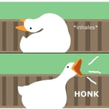 honk 5b2