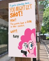 Gun meme