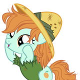 Filly mango