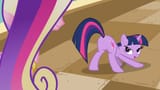 twibutt2