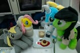 noms again3