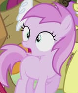 3644382