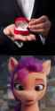 Sunny Propose_thumb.jpg