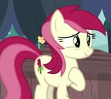 lovely mare