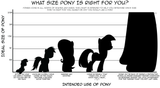 pony_size_chart