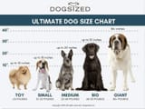 dog-size-weight