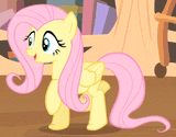 FLOOT_IS_SCOOT