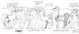 poner size