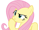 flutterthonk