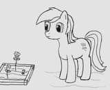 Roseluck2