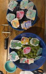 IMG_4741