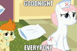 goodnighteverypony