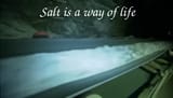 salt is a way of life