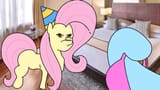 FlutterStripper
