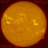 Michael-Borman-s080725hadisk_1754588812