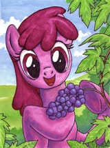 berry with berries