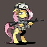 354279