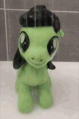 wet_filly