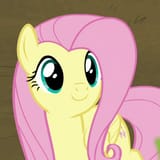 2553582