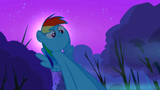 pony ass