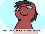 satisfaction