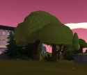 capture1-2025-08-11_01.31.51_thumb.jpg