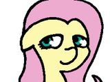 shy
