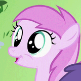[cute horse noises]