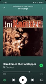 Screenshot_20250611_003021_Spotify
