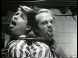 BrianWilsonMikeLove