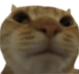 1725651227303