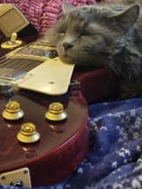 pipergibby-min