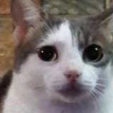 1749572323340340