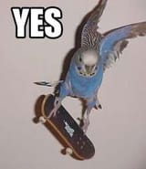 yes2