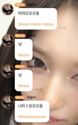 meow
