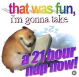 chaotic-memes-39-8-28-2024-600x587