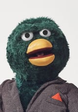 duck
