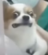 1749769146309242