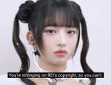 rei copyright