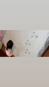 1729354461014401