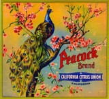 Food Vintage Fruit crate label peacock brand citrus