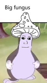 1742645985216596