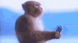 musicmonkey