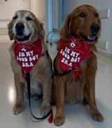 good boys