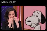 Mikey snoopy