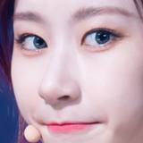 squid stare