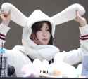 seoyu bunny_thumb.jpg