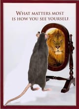 mirror