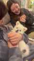 weverse_0 seeun_thumb.jpg