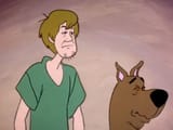 disdain for raggots
